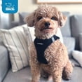 thumbnail image 6 of Voyager Step-in Air Dog Harness w/Leash - All Weather Mesh Step in Vest Harness for Small and Medium Dogs by General - Black, M (Pack of 2), 6 of 19