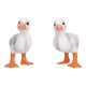 thumbnail image 4 of Modelo de Pato Blanco Ticfox 2 Piezas, 4 of 12