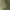 Army Green, variant on Spazoro Big Boys Cargo Pants, Solid Color Fall and Winter Elastic Waist Casual Outwear Pants For Kids Boys Khaki Size 8 T