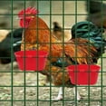 thumbnail image 4 of EXHUMKY 20Ud Comederos Para Jaulas De Pájaros Accesorios Seguros Y Reutilizables, 4 of 8