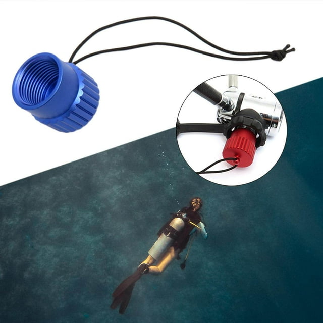 VONKY Robinet de Réservoir Extérieur Fileté Bouchon Anti-Poussière Plongée Couvercle de Valve de Réservoir Bleu