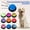 Dark Blue, variant on jiaroswwei Bite Resistant Relieve Boredom Sound Button Entertain Interactions Pet Dog Recordable Talking Button Pet Supplies