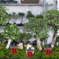 thumbnail image 5 of unbranded 8 pcs Resin Pavilion Mini Statue Resin Lantern Zen Style Pagoda Pavilion Yard Bonsai Decoration, 5 of 8