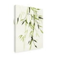 thumbnail image 2 of Trademark Fine Art 'Bamboo Leaves V Green' Canvas Art by Danhui Nai, 2 of 3