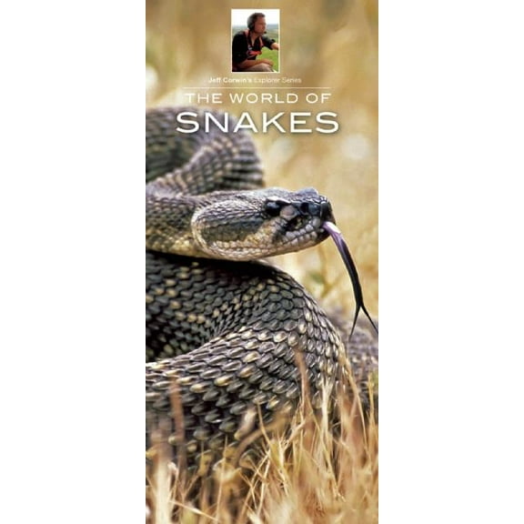 Wildlife and Nature Identification: The World of Snakes (Other)