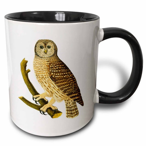 3drose, Barn Owl on Branch, 15oz Two-tone Black Mug
