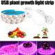 thumbnail image 4 of Planta Crece La Luz De Espectro Completo Usb Crece La Tira De Luz Nivel De Brillo Creciente Lámpara Para Plantas De Interior, 4 of 7