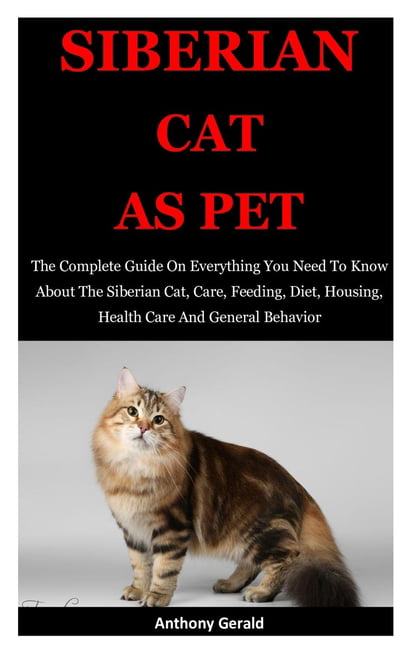 Siberian Cat As Pet: The Complete Guide On Everything You Need To Know