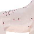 thumbnail image 2 of Modèle Anatomique de Chien Modèle d'Acupuncture Anatomie Modèle de Point d'Acupuncture du Corps de Chien avec 72 Points d'Acupuncture Modèle d'Étude, 2 of 7