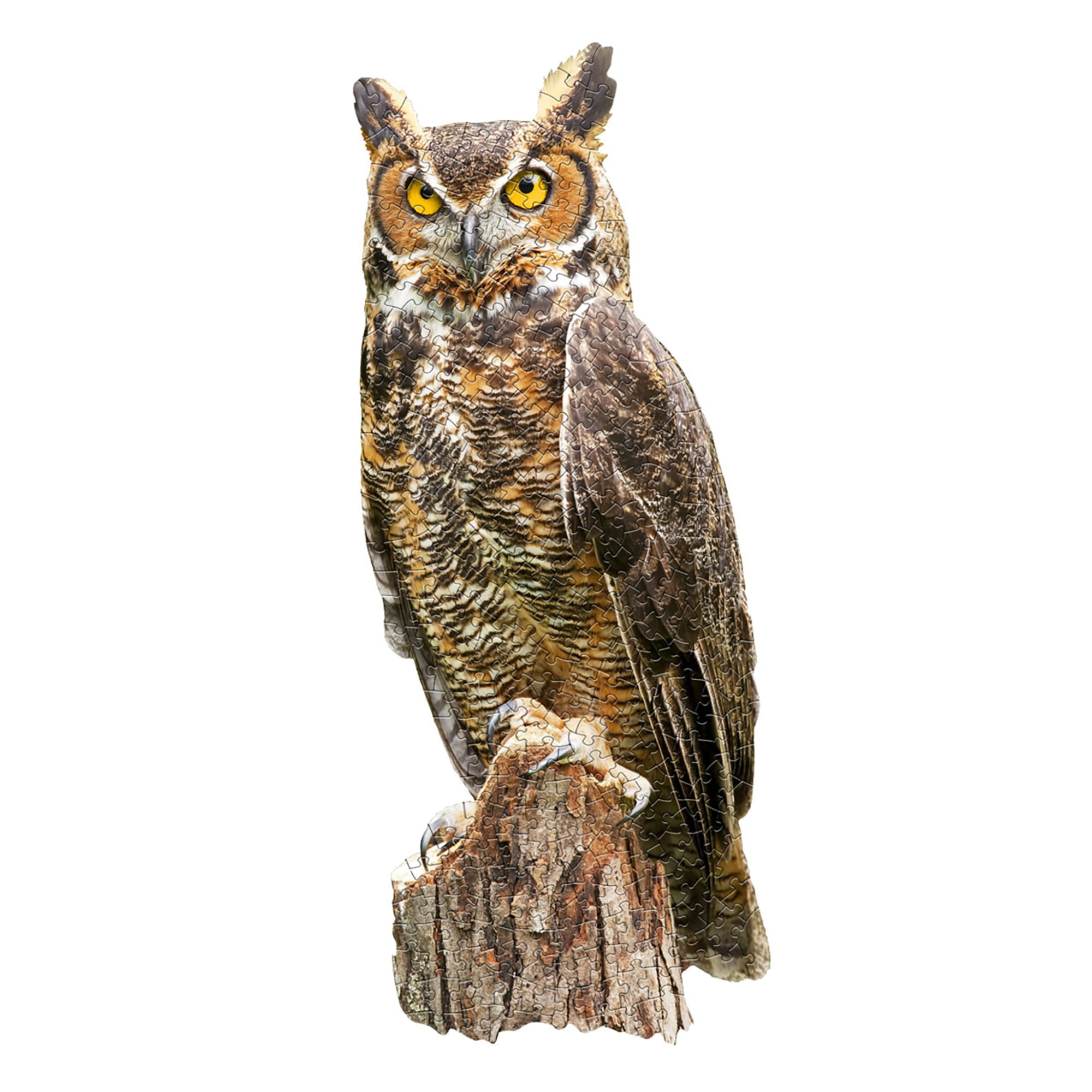 Madd Capp: I AM GREAT HORNED OWL - 300 Piece Jigsaw Puzzle, Bird-Shaped Puzzle, 29x12" Finished Size, Includes Fun Fact Booklet