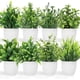 thumbnail image 1 of Plantas artificiales Pequeñas plantas en maceta falsas, 8 piezas Mini planta de hierba decorativa en maceta de eucalipto con maceta blanca para decoración del hogar, interior, oficina, decoración, 1 of 5