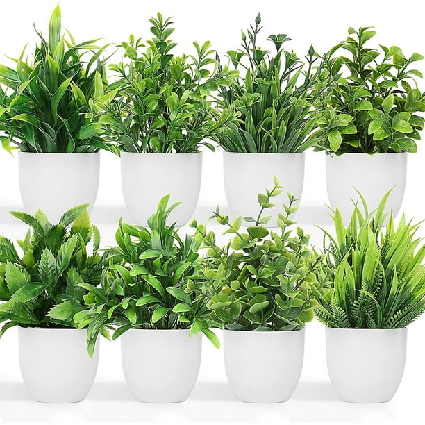 Plantas artificiales Pequeñas plantas en maceta falsas, 8 piezas Mini planta de hierba decorativa en maceta de eucalipto con maceta blanca para decoración del hogar, interior, oficina, decoración