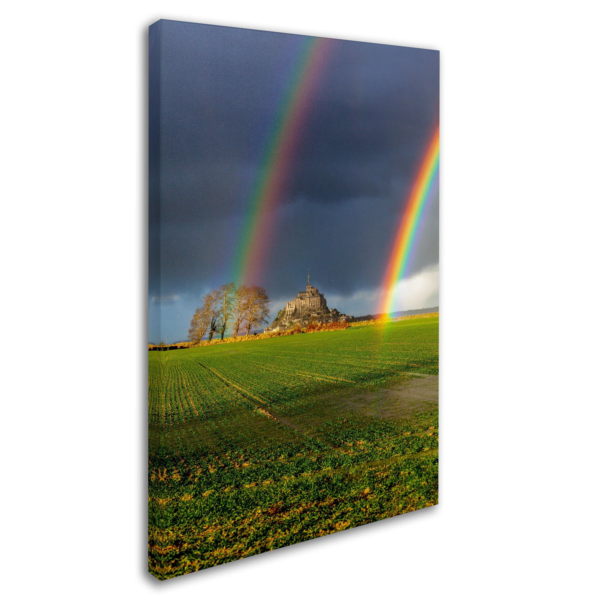 Trademark Fine Art "Double Rainbow" Canvas Art by Mathieu Rivrin