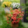 thumbnail image 5 of GRNSHTS Artificial Flowers for Outdoors Fake Plants - 8 Bundles Faux Outside Greenery Boxwood No Fade Plastic Shrubs Fall Decor Farmhouse Home Garden Christmas, 5 of 18