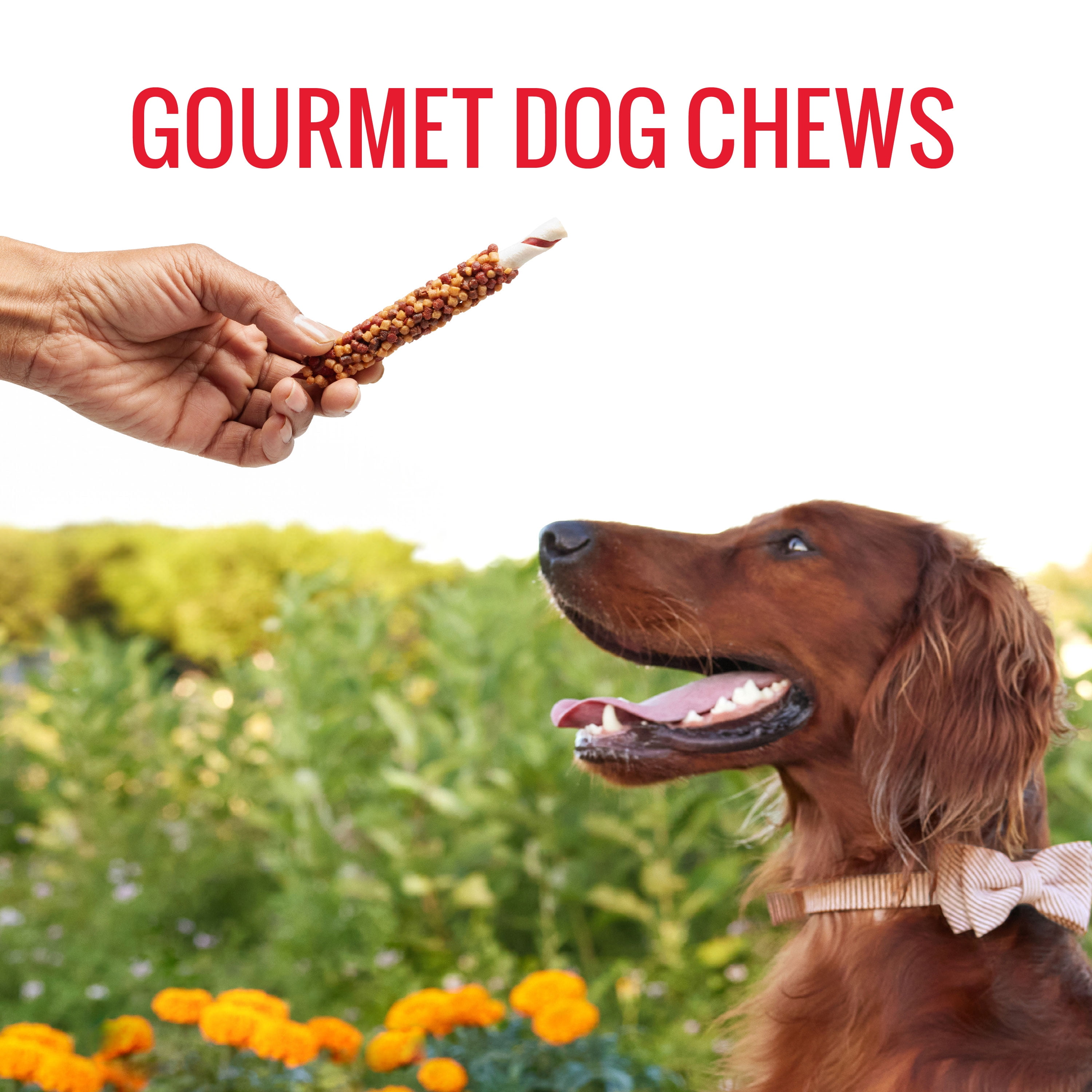 (5 pack) Good 'n' Fun Triple Flavor Blasts, Rawhide Chews for All Dogs, 12 oz