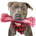 thumbnail image 1 of Juguete masticable para perros, de nailon indestructible para cachorros, para masticadores agresivos, 1 of 7