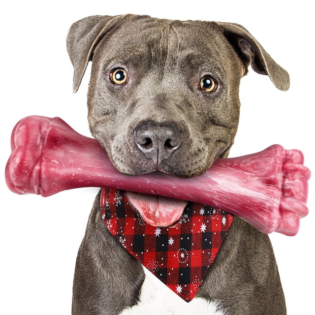 Juguete masticable para perros, de nailon indestructible para cachorros, para masticadores agresivos