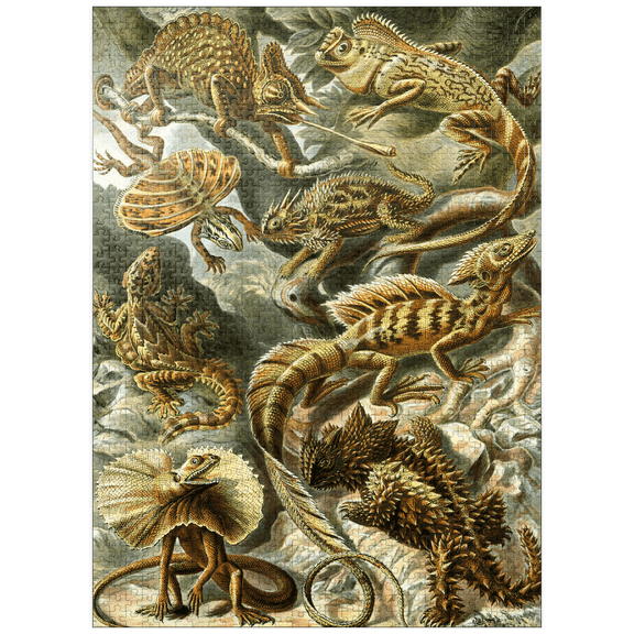 MyPuzzle - Lizard (Lacertilia) - Art Forms In Nature, Vintage Art Poster, Ernst Haeckel - Premium 1000 Piece Jigsaw Puzzle for Adults