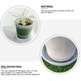 thumbnail image 2 of WHAMVOX  6 Pcs Pots Transparent Flower Holder Practical Flowerpot Tray Stylish, 2 of 8