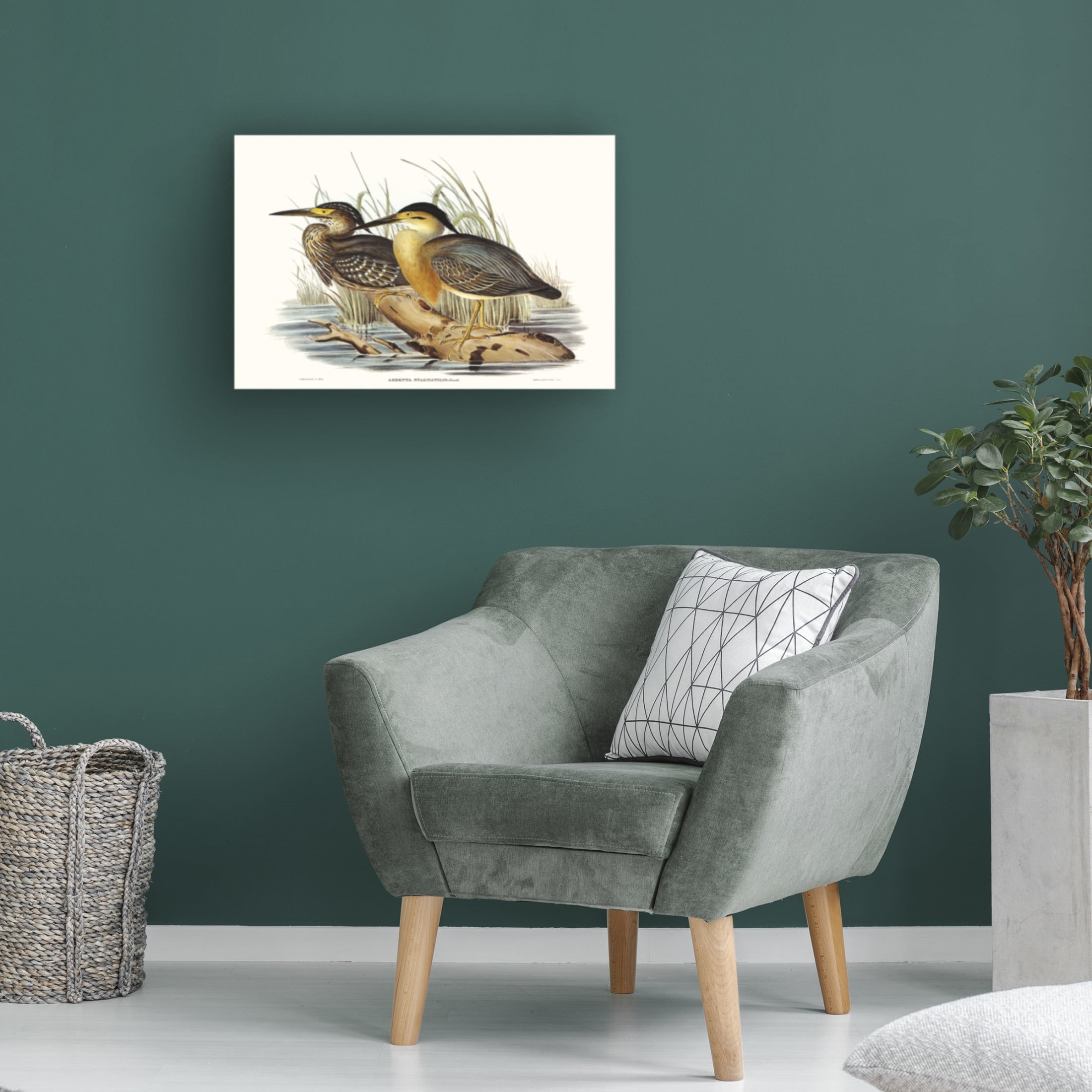 Trademark Fine Art Elizabeth Gould  Waterbird Pairing IV Canvas Wall Art