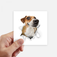 thumbnail image 1 of Animal Paper Breaking Shock Pride Sticker Square Waterproof Stickers Wallpaper Car Decal, 1 of 1