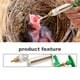 thumbnail image 3 of Kit de jeringa de alimentación manual para pájaros de 20 ml con manguera y cucharas | Escala y tornillo de posicionamiento | Aguja de punta de cobre | Alimentador de líquidos y alimentos de, 3 of 8