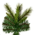 thumbnail image 2 of Vickerman 6.5' x 40" Brighton Pine Artificial Christmas Tree, Unlit, 2 of 5