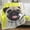 12, variant on Black Pug Blanket Blankets & Throws Cute Dog Print Super Soft Cozy Fleece Plush Blanket for Boys Girls Women Bedroom Sofa Office Couch (Baby 30"x40")