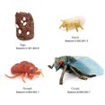 thumbnail image 2 of Cycle de Vie d'Une Cigale Monarque, Cycles Croissance Jeu Prop.Simulation Animal Éducation Jouet, 2 of 7