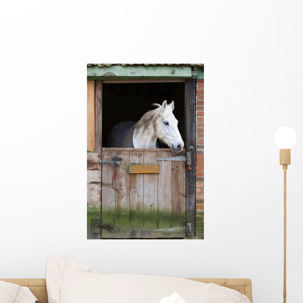 Horse Stable Wall Mural by Wallmonkeys Peel and Stick Graphic (18 in H