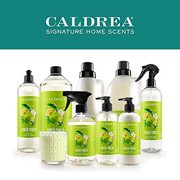 Caldrea Dish Soap, Ginger Pomelo, 16 Oz
