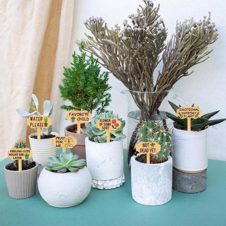 15 Pcs Funny Plant Labels Wooden Herb Markers Flowers T Type Tags