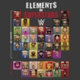 thumbnail image 2 of Boy's WWE Elements of Superstars  Graphic T-Shirt, 2 of 3