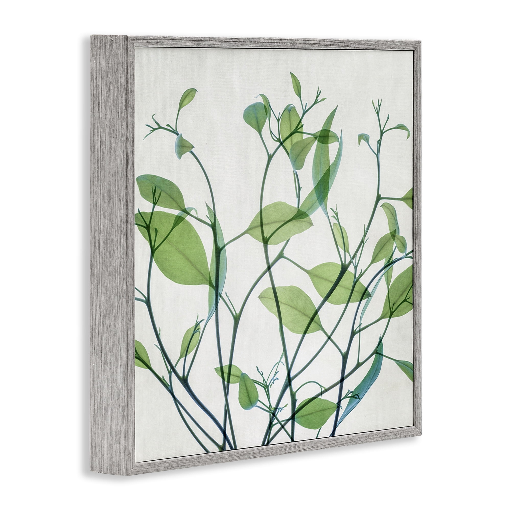 Stupell Industries Twisting Green Vines Botanical & Floral Painting Gray Framed Art Print Wall Art, 12 x 12