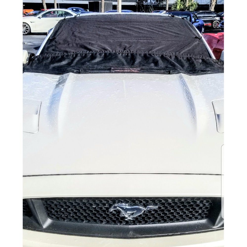 Auto Gutter Leaf Protector Windshield Cover full size trucks and SUV