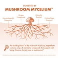 thumbnail image 5 of Host Defense Cordyceps Extract - 2 fl oz (60 Servings), 5 of 10