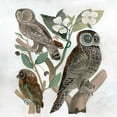 thumbnail image 2 of Stellar Design Studio  12x12 Gold Ornate Wood Framed with Double Matting Museum Art Print Titled - Traditional Owls II, 2 of 4