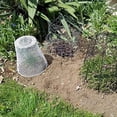 thumbnail image 2 of SPRING Plant Covers Wire Garden Cloches Chicken Wire Cloche Plan, 2 of 9