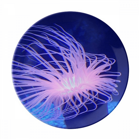 

Ocean Blue Jellyfish Science Nature Plate Decorative Porcelain Salver Tableware Dinner Dish