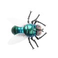 thumbnail image 2 of Remote Control Animal Insect Toys Infrared Electric Simulation Fly Bee Rc Prank Animals, 2 of 4