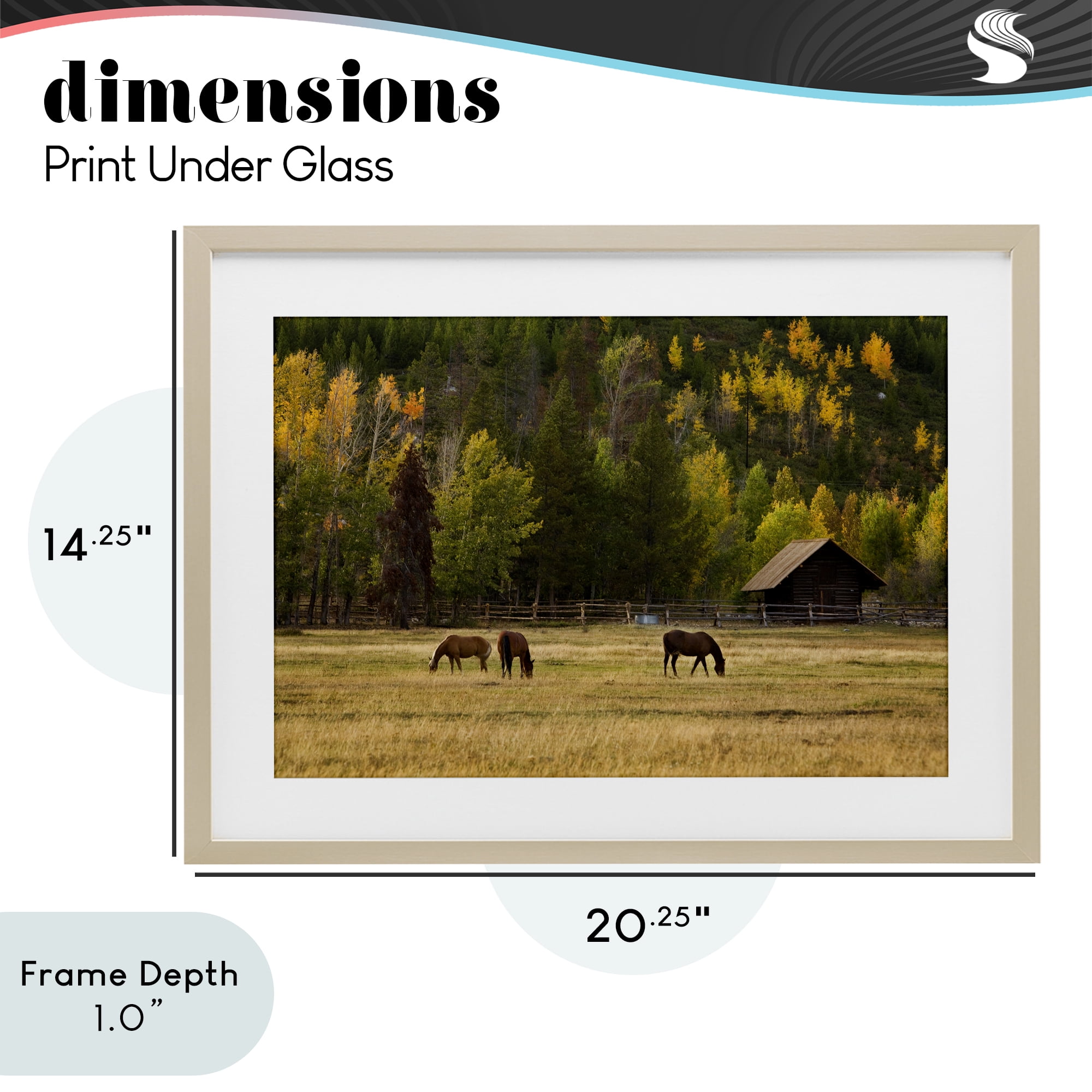 Stupell Industries Horses In Jackson Hole Birch Framed Print Under Glass, design by Scott Stulberg