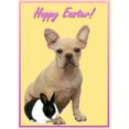 thumbnail image 3 of CafePress - Happy Easter French Bulldog Large Mug - 15 oz Ceramic Large White Novelty Mug, 3 of 6