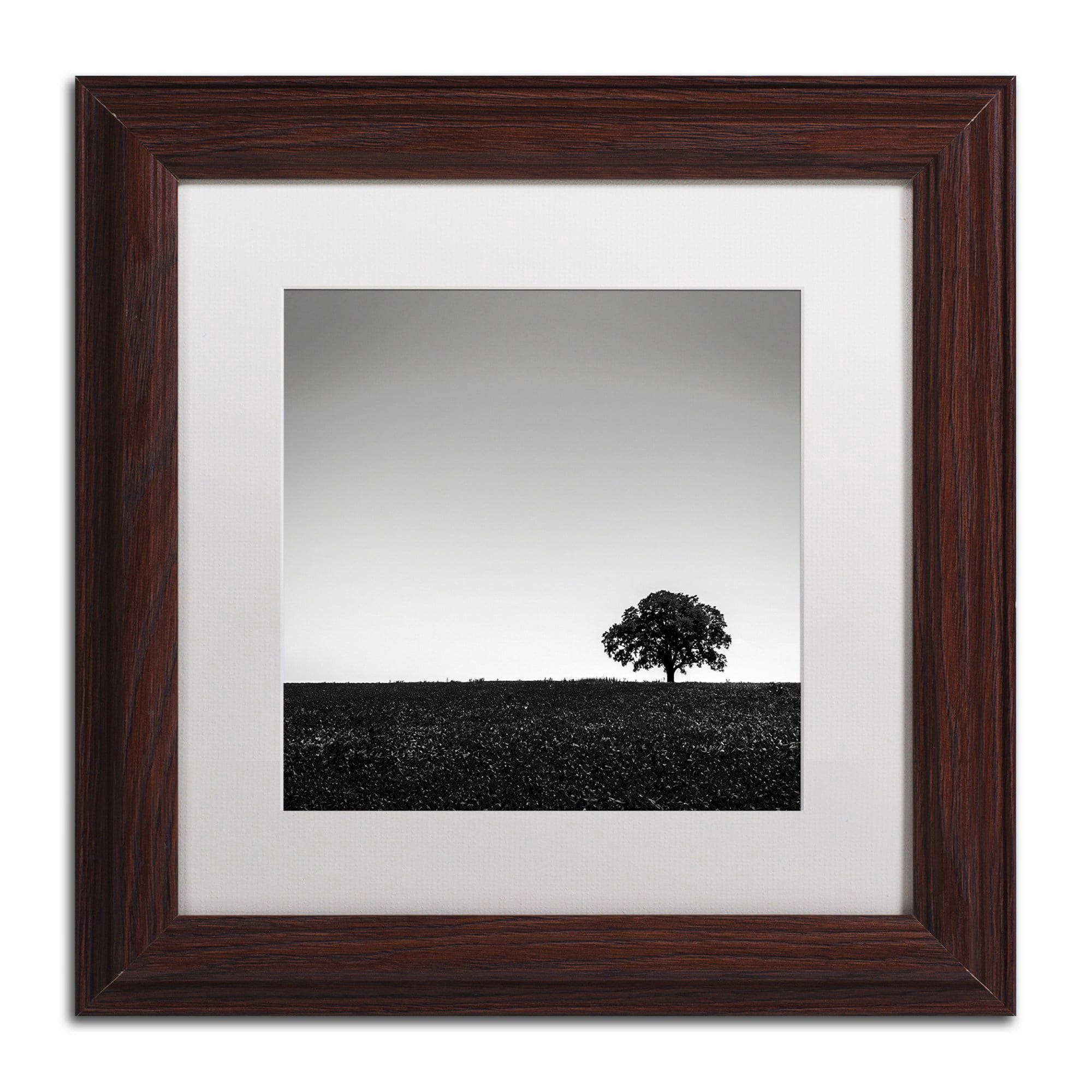 Trademark Fine Art "One Tree Hill" Canvas Art by Dave MacVicar, White Matte, Wood Frame