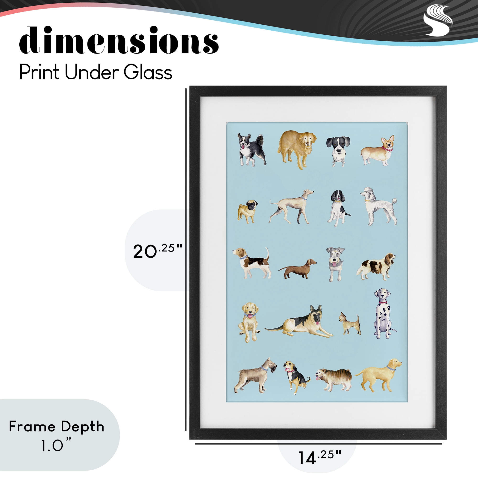 Stupell Industries Dog Breeds on Blue Black Framed Print Under Glass, design by Andi Metz