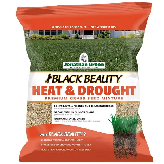 Jonathan Green (10514) Black Beauty Heat MVR1 & Drought Resistant Grass Seed - Cool Season Lawn Seed (3 lb)