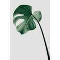 thumbnail image 2 of Artographie Studio 17x24 Black Modern Framed Museum Art Print Titled - Monstera Natural 36, 2 of 4