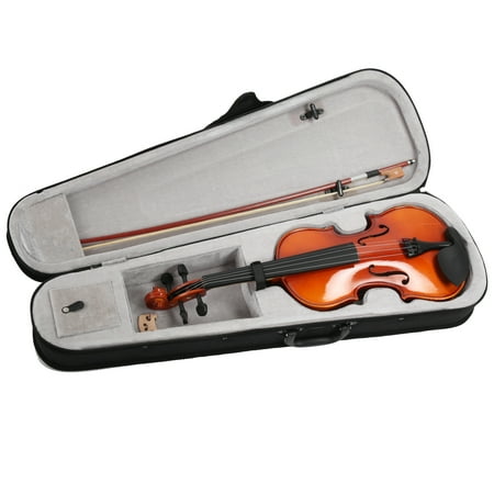 Professional 2024 violin price