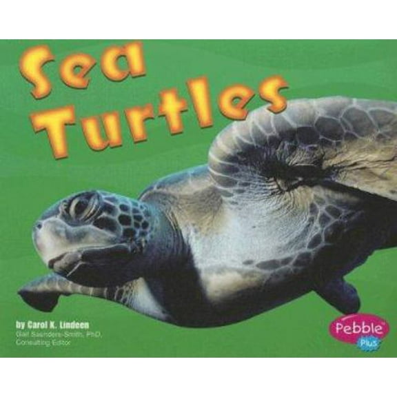 Pre-Owned Sea Turtles (Pebble Plus, Under the Sea) (Paperback) 0736851135 9780736851138
