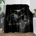 thumbnail image 4 of 3D Black Cat Sherpa Fleece Throw Blanket,Cat Lovers Animal Design Sherpa Blanket for Kids Girls,Cat in The Hiding Place Fleece Blanket,Soft Lightweight Decor for Sofa, 27 x 39 Inches, 4 of 9