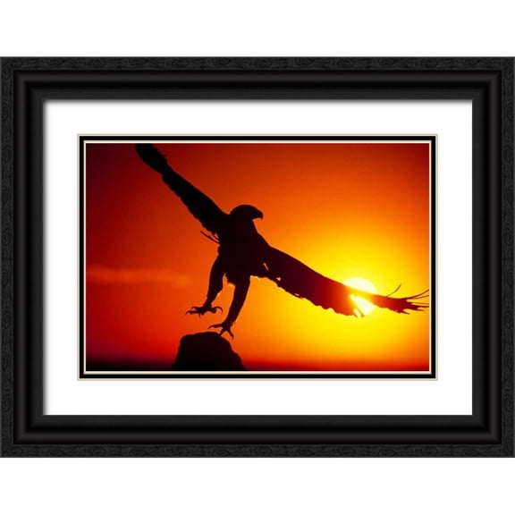 Welling, Dave 32x23 Black Ornate Wood Framed with Double Matting Museum Art Print Titled - CO, A falconers golden eagle takes flight